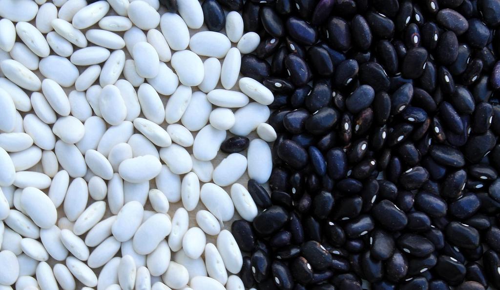 Trójwymiarowa symulacja cząsteczki białka w środowisku kwantowym